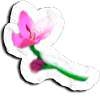 Acerca